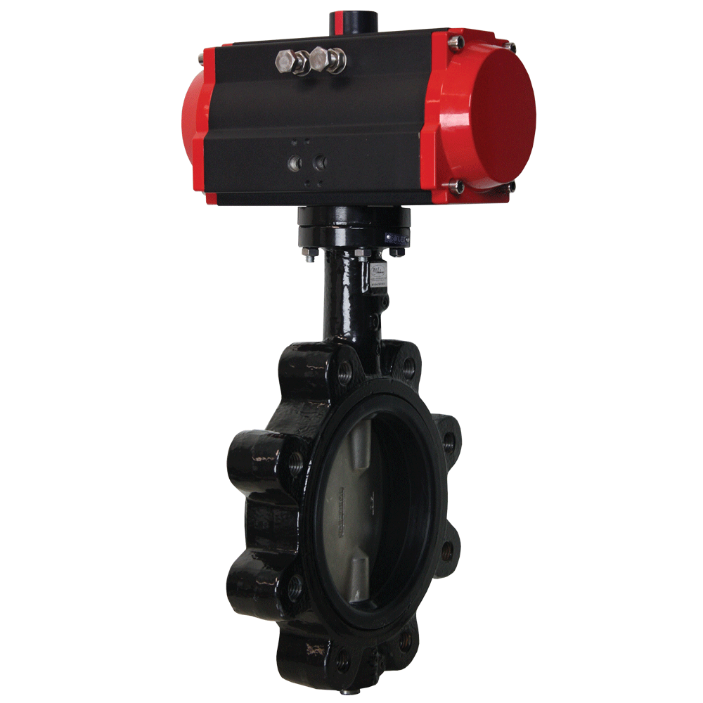 Series WE20 Butterfly Valve