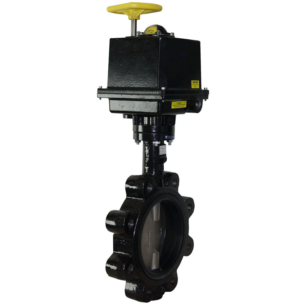 Series WE20 Butterfly Valve